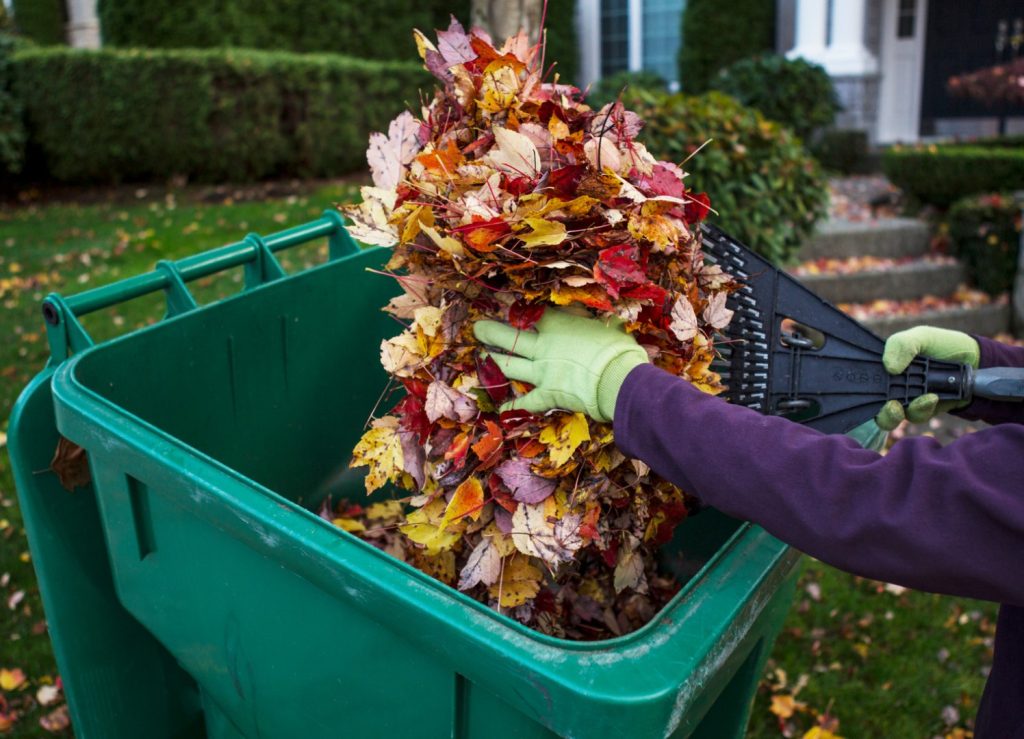 junk yard waste removal