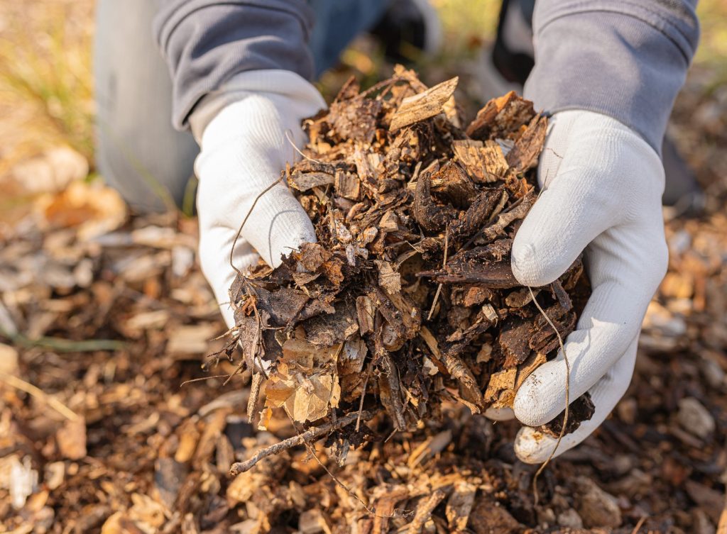 local yard waste removal