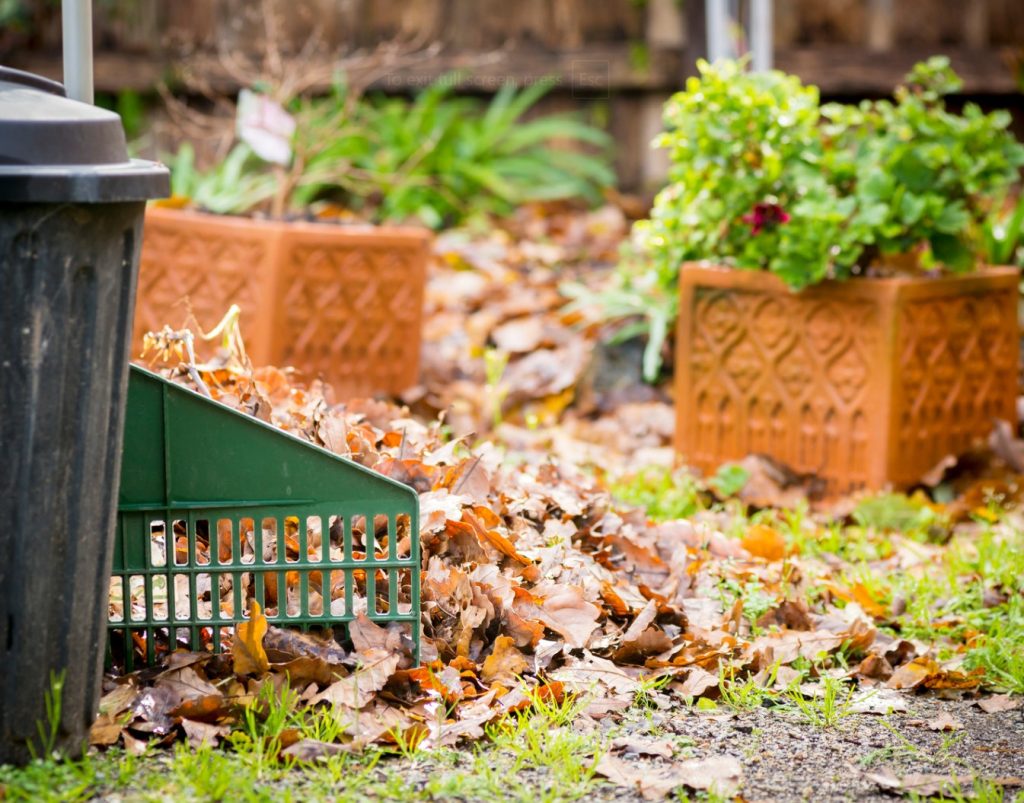 same day yard waste removal