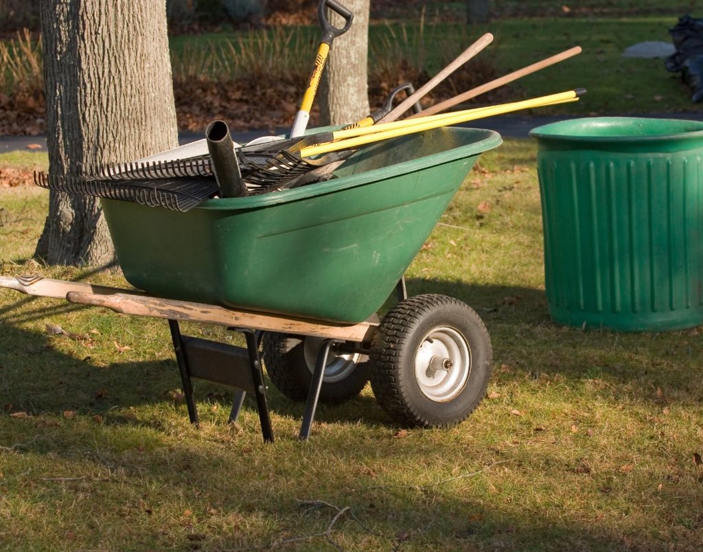 yard waste removal